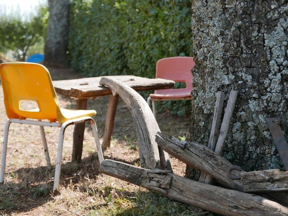 ホテル Al Bosco Delle Api Gallicchio エクステリア 写真