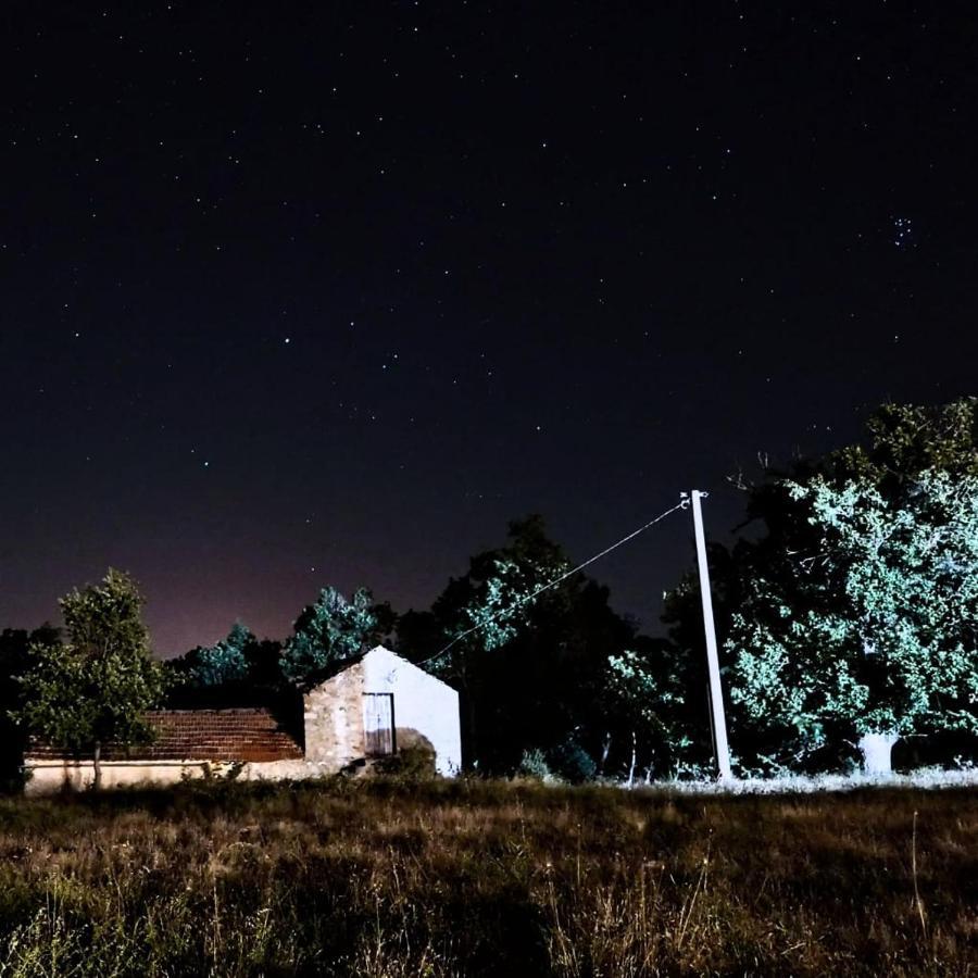 ホテル Al Bosco Delle Api Gallicchio エクステリア 写真