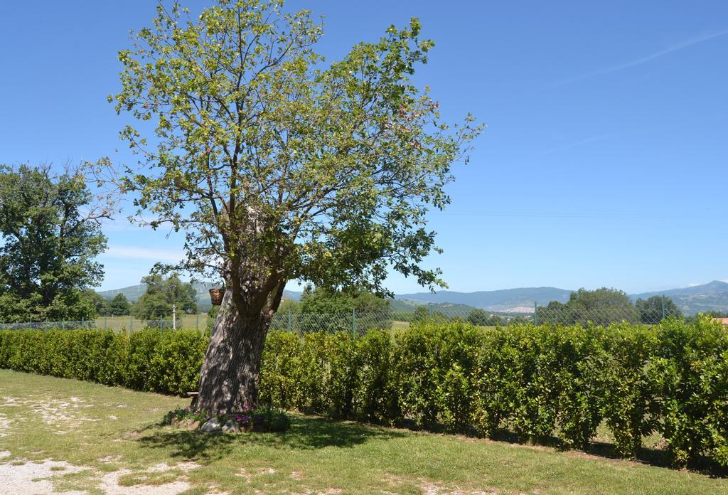 ホテル Al Bosco Delle Api Gallicchio エクステリア 写真