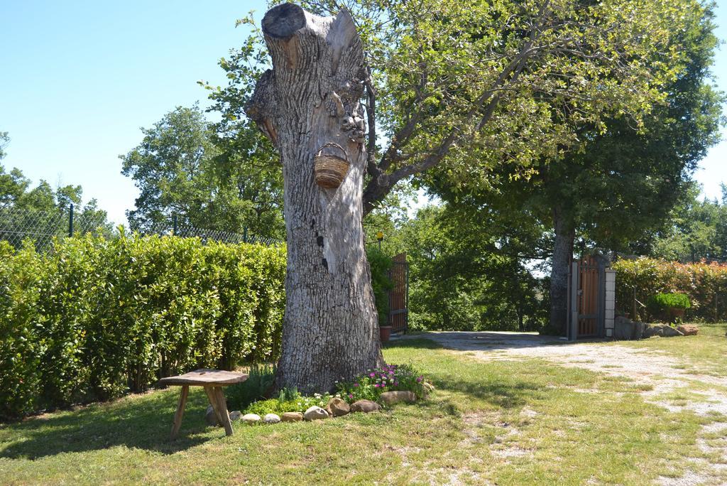 ホテル Al Bosco Delle Api Gallicchio エクステリア 写真