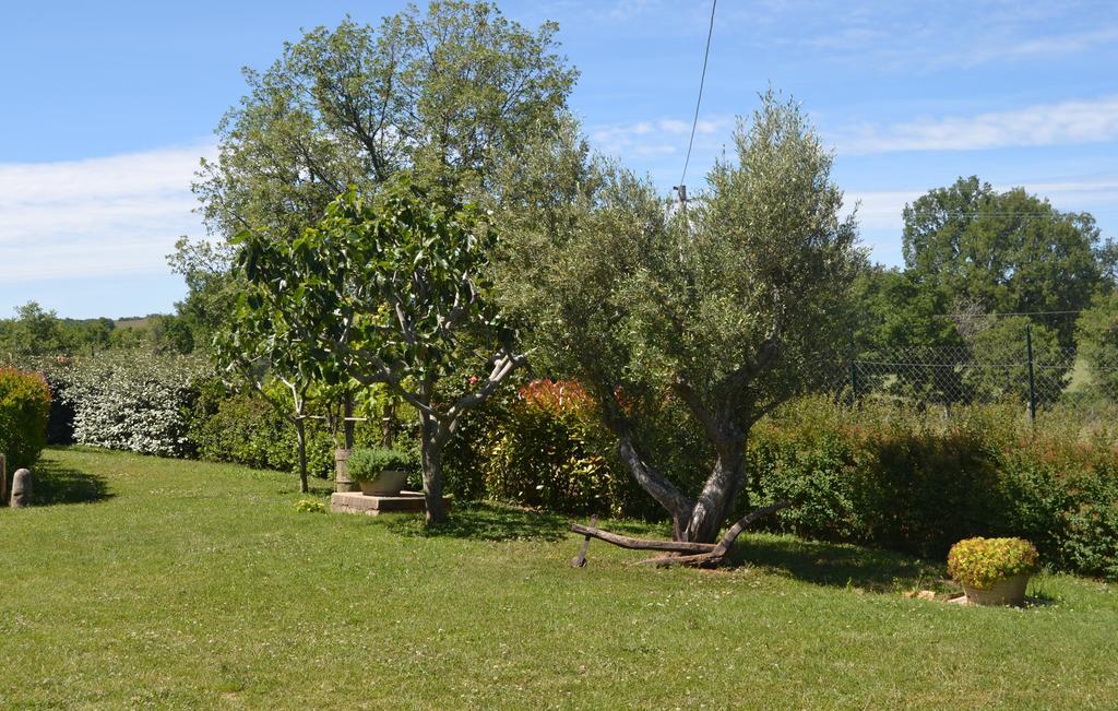 ホテル Al Bosco Delle Api Gallicchio エクステリア 写真